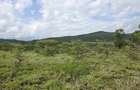 0.125 ac Land at Sakuda - 2