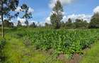 Commercial Property with Service Charge Included at Mutuini Primary - 12