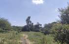 1 ac Land at Ndovu Road - 4