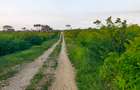 Land in Vipingo - 20
