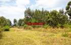 0.05 ha Residential Land in Kikuyu Town - 15