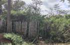 4.5 ac Land at Langata South Road - 7