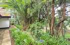 4 Bed House with En Suite in Kyuna - 7