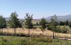 0.25 ac Residential Land at Naivasha - 6