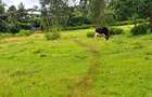 1 ac Commercial Land at Ngong - 8