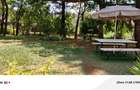 Land in Hurlingham - 1