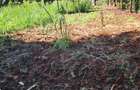 Residential Land at Thome. - 4