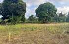 30 ac Land at Kikambala Bomani - 7