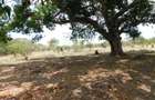 10,000 ft² Land in Vipingo - 10