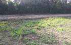 0.25 ac Residential Land in Ongata Rongai - 3