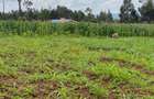 0.05 ha Residential Land in Kikuyu Town - 9