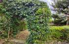 4 Bed House with En Suite in Nakuru - 6