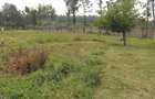 1.3 ac Land at Karen Plains - 5