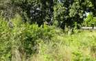 4,047 m² Commercial Land in Kilifi County - 5