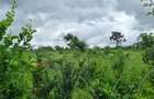 500 m² Land at Kilifi - 13