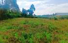 1,000 m² Residential Land at Karie - 6