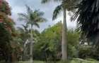 5 Bed House with En Suite in Karen - 2