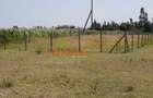 500 m² Land in Nanyuki - 12