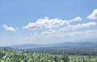 0.25 ac Residential Land at Nakuru - 9