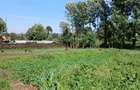 3 ac Land in Kikuyu Town - 4