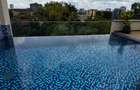 Furnished 1 Bed Apartment with En Suite in Rhapta Road - 18