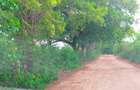 Land in Vipingo - 10