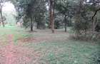 4 ac Land at Mushroom Gardens - 13