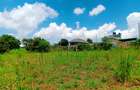 1,000 m² Residential Land at Riu-Nderi - 2