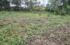 0.25 ac Land in Ruaka - 7