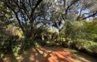 1 Bed House with En Suite at Karen - 10