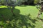 Land in Kilimani - 8