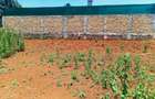 500 m² Residential Land at Jambu Tv - 2