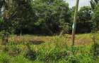 0.5 ac Land in Thome - 9