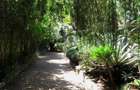 0.75 ac Land at Chalbi Drive - 6