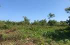 3.1 ac Land at Off Diani Link Rd - 4