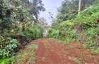 1 ac Land at Runda Groove - 16