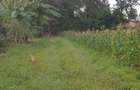 5 ac Land at Runda Paradise Off Kiambu Road - 5