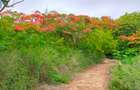 Land in Vipingo - 16
