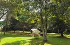 6 Bed House with Staff Quarters in Lake View - 17