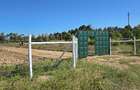 505 ac Residential Land at Burguret - 1