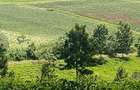2 ac Land at Off Tigoni - Kabuku Rd - 6