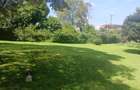 1.3 ac Land at Arguing Kodheck Road - 3