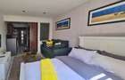 Serviced Studio Apartment with Gym at Off Naivasha Road - 3