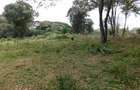 0.5 ac Residential Land at Nyari - 7