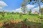 Residential Land in Runda - 2