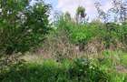 0.5 ac Residential Land in Thome - 2