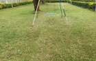 3 Bed House with Gym at Lonetree - 4