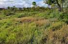 Land in Diani - 4