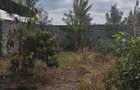 4 Bed House with Garden in Kamulu - 4