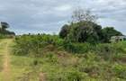 10 ac Land in Vipingo - 3